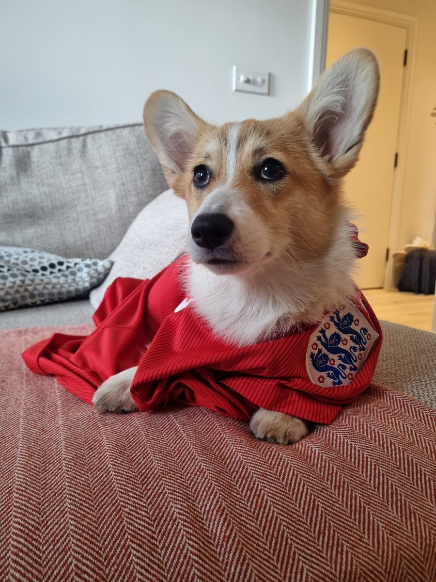 Matthew Drake tweet media