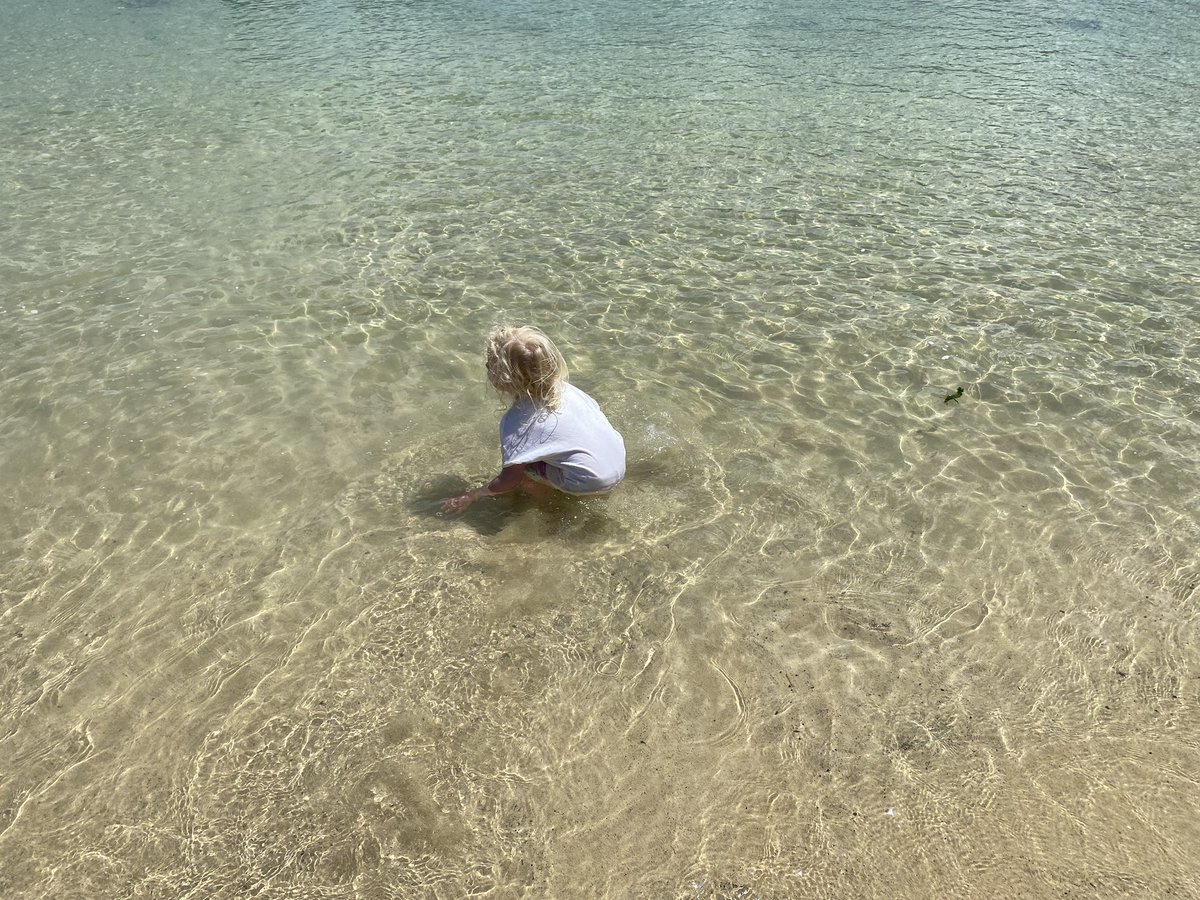 tom_pvfc's tweet image. Back in our happy place #summer