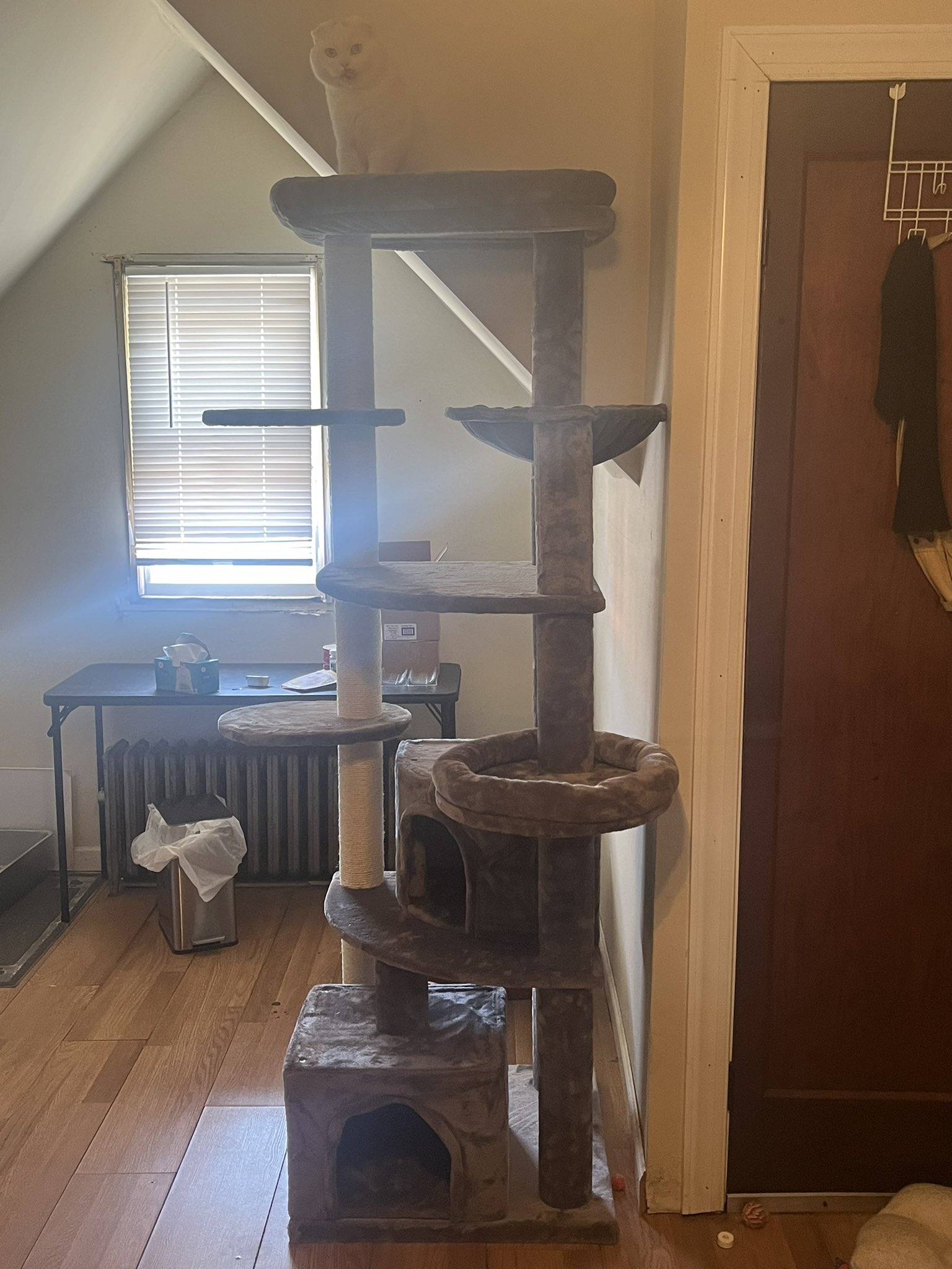 Human cat tree online
