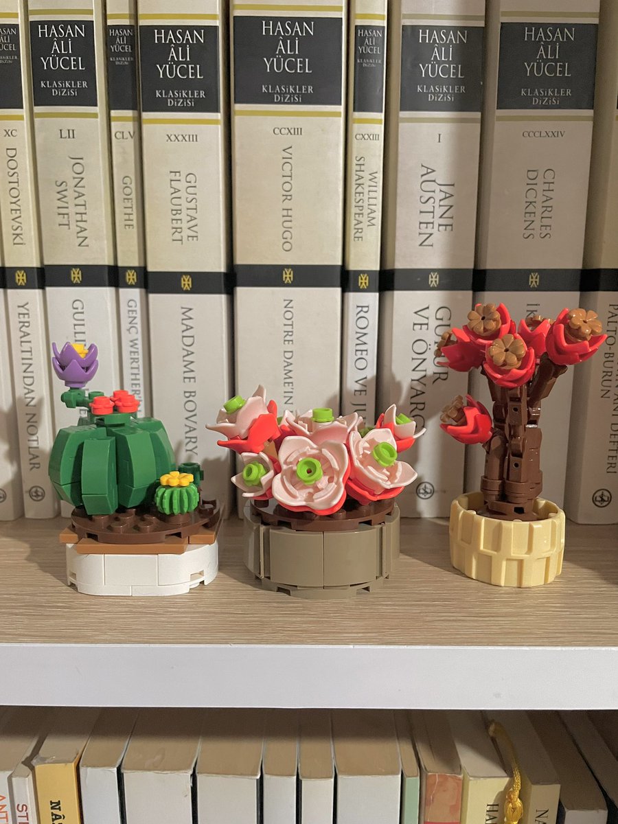 sircafanuss's tweet photo. Çiçeklendik🌼 https://t.co/nkdHzdYMF2