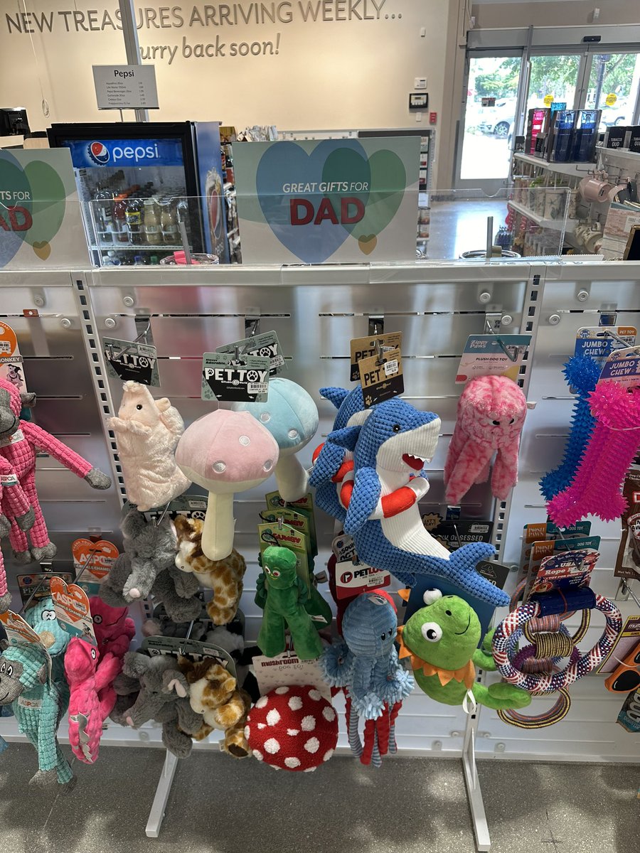 ianbeckman's tweet photo. My dad is really destructive and a strong chewer, does anyone know which of these toys would be safest for him? https://t.co/BLazeyfZuG