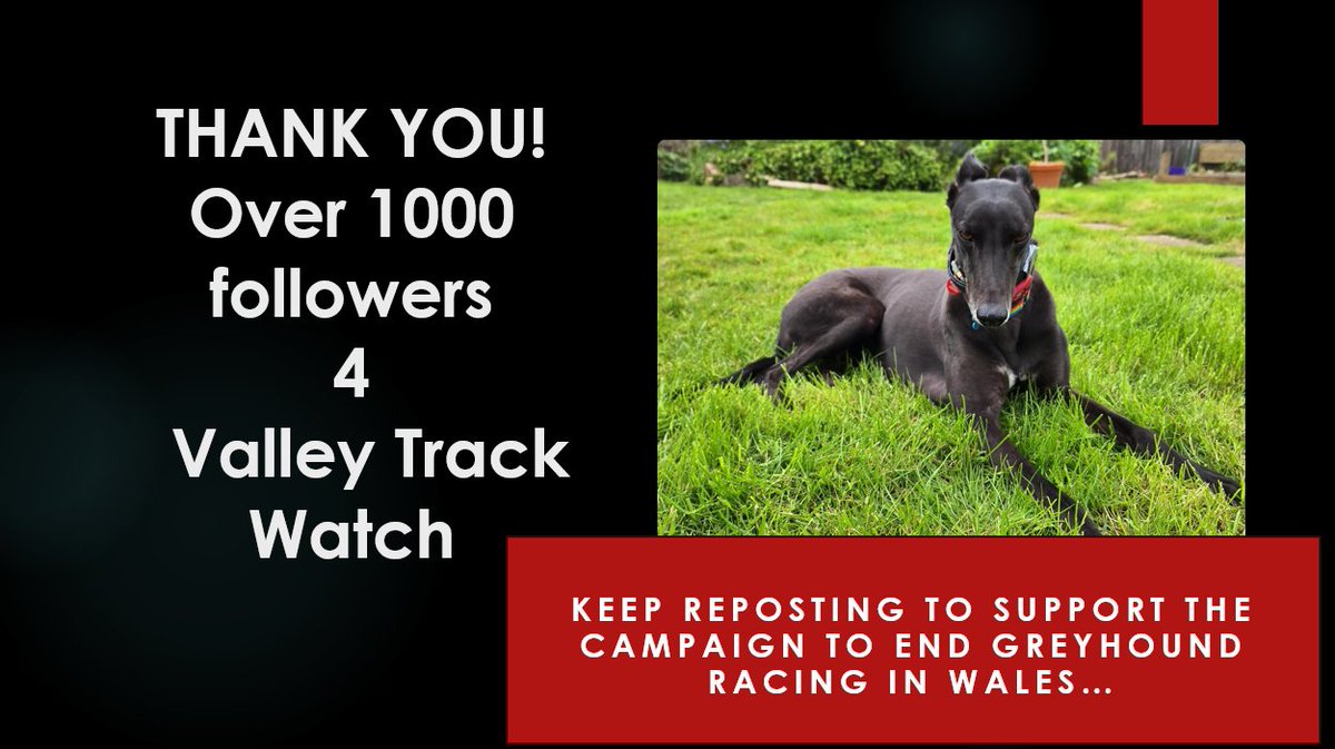 valley_trk_wtch's tweet image. 