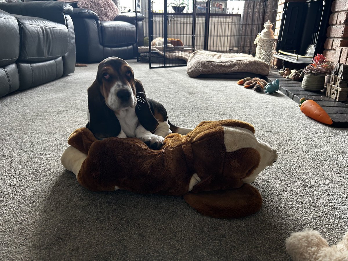 Who’s the daddy ? It’s more who’s the mummy   🐶🐶