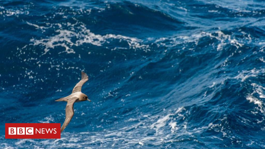 chuza's tweet photo. Oceano Pacífico é mais alto que o Atlântico? https://t.co/kxZ8YrGzaC https://t.co/KZKJkq1w90