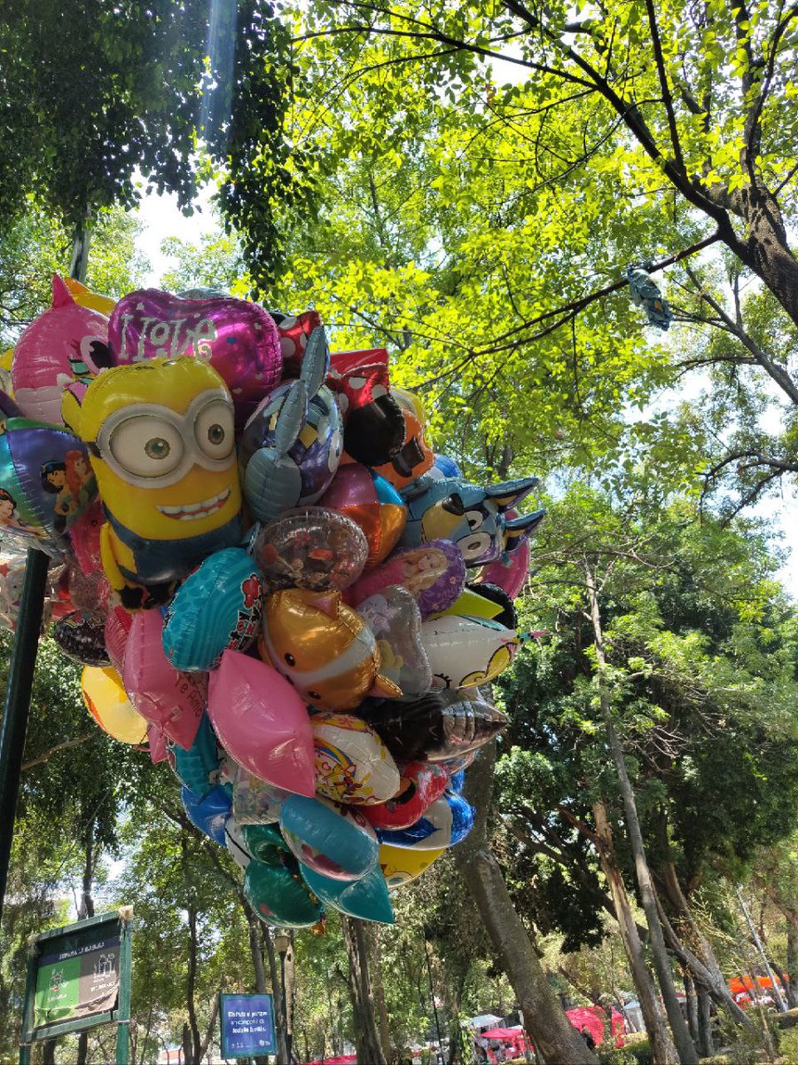 Metrobús CDMX tweet media