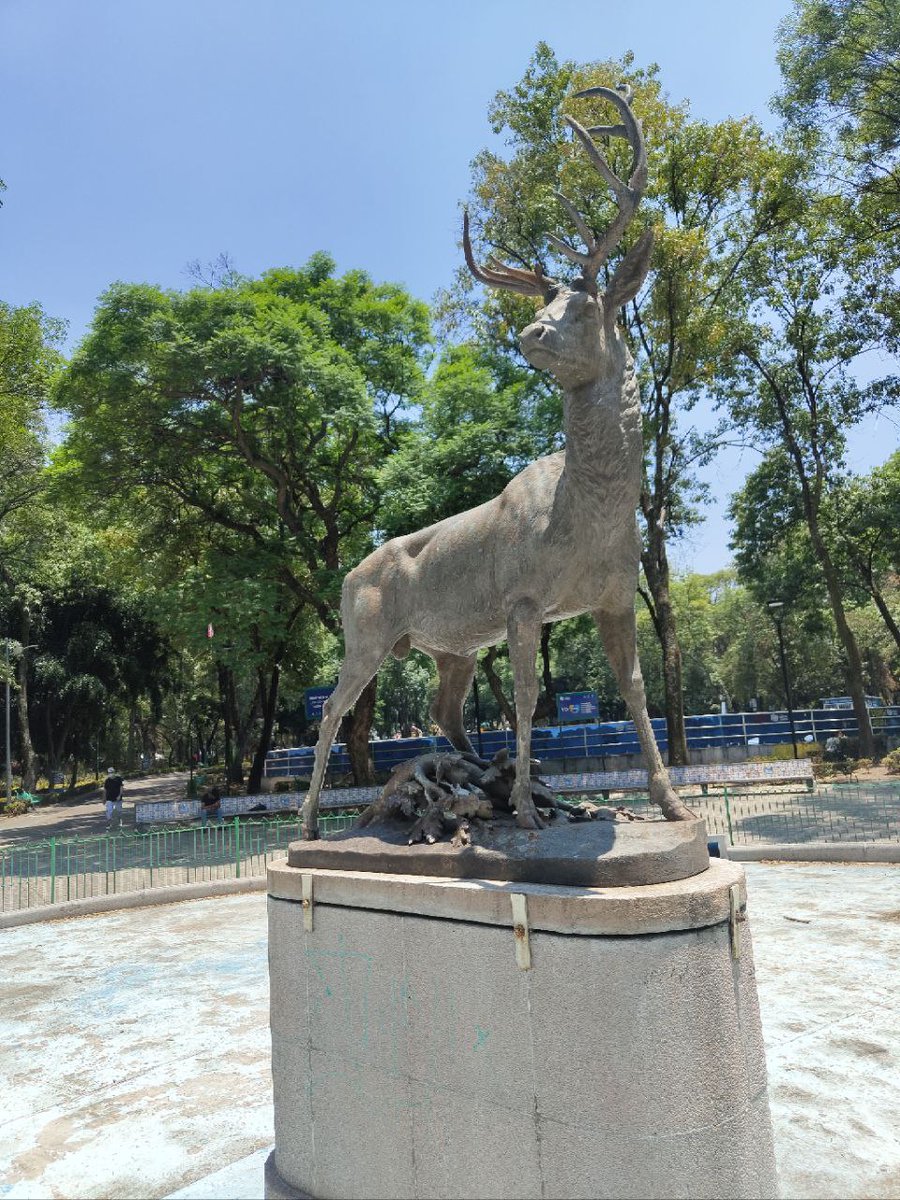 Hoy es un gran día para visitar el Parque de los Venados 🦌🍃

Solo tienes que subir a #Metrobús y llegar a la estación Pueblo Sta. Cruz Atoyac de #Línea3 🚍🟢

¡Diviértete!