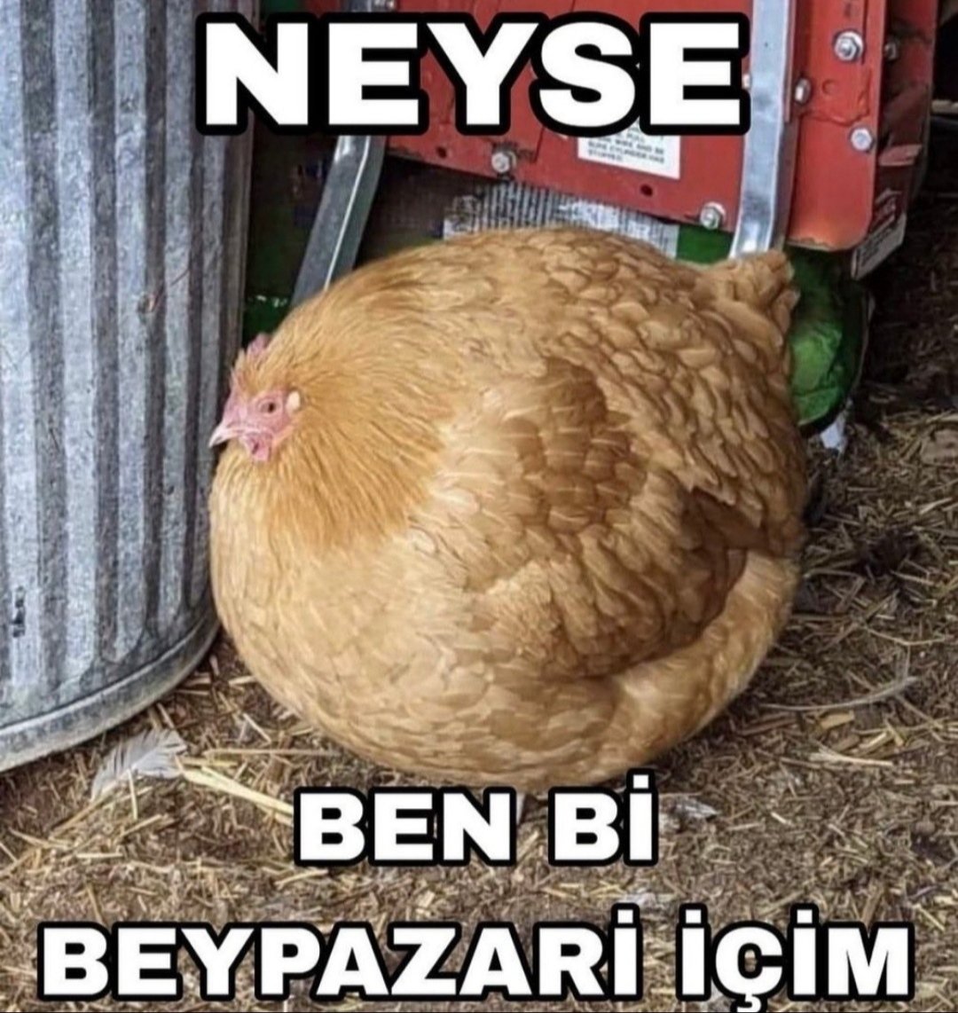 ANLIK (@anlikmod) on Twitter photo 