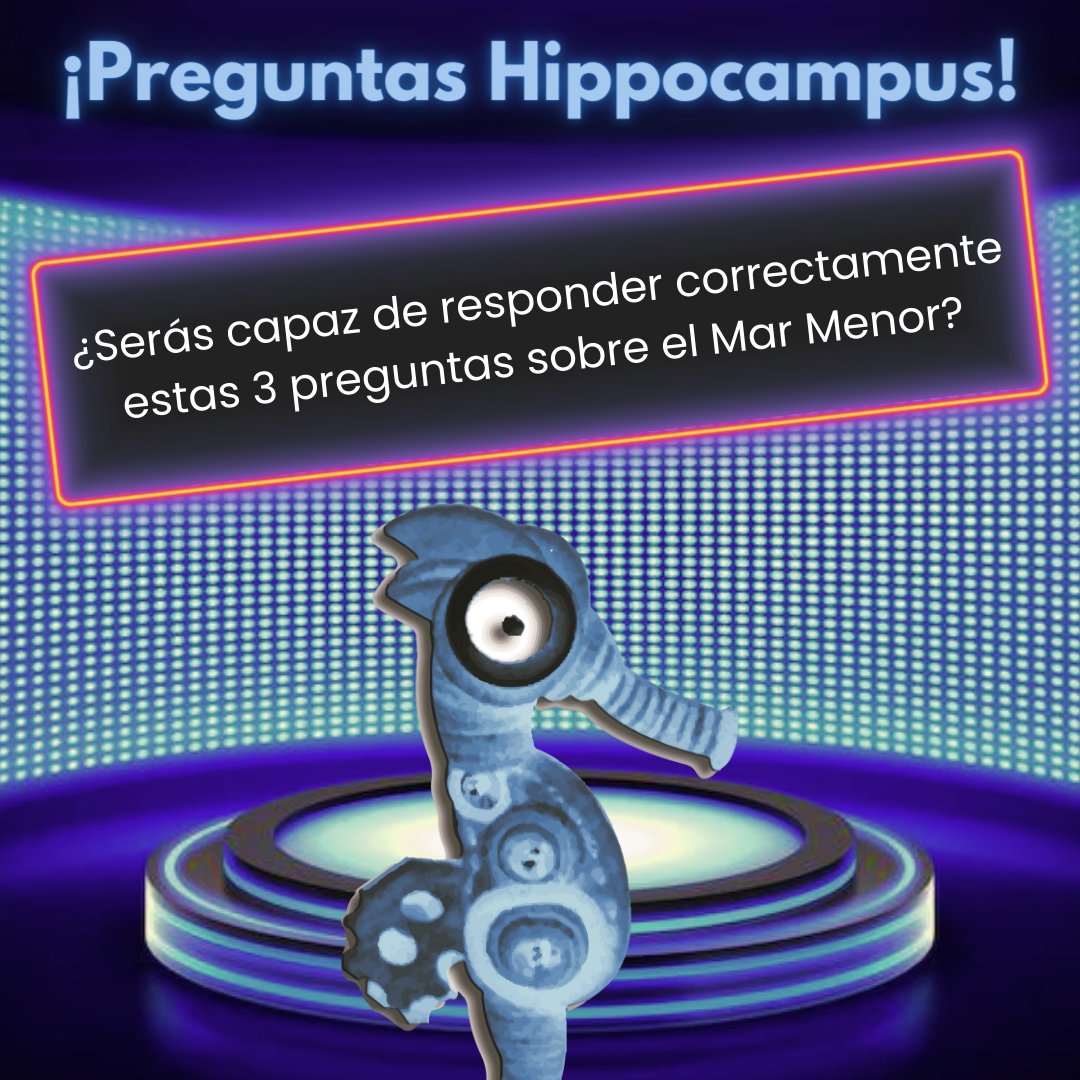 Asociación Hippocampus tweet media