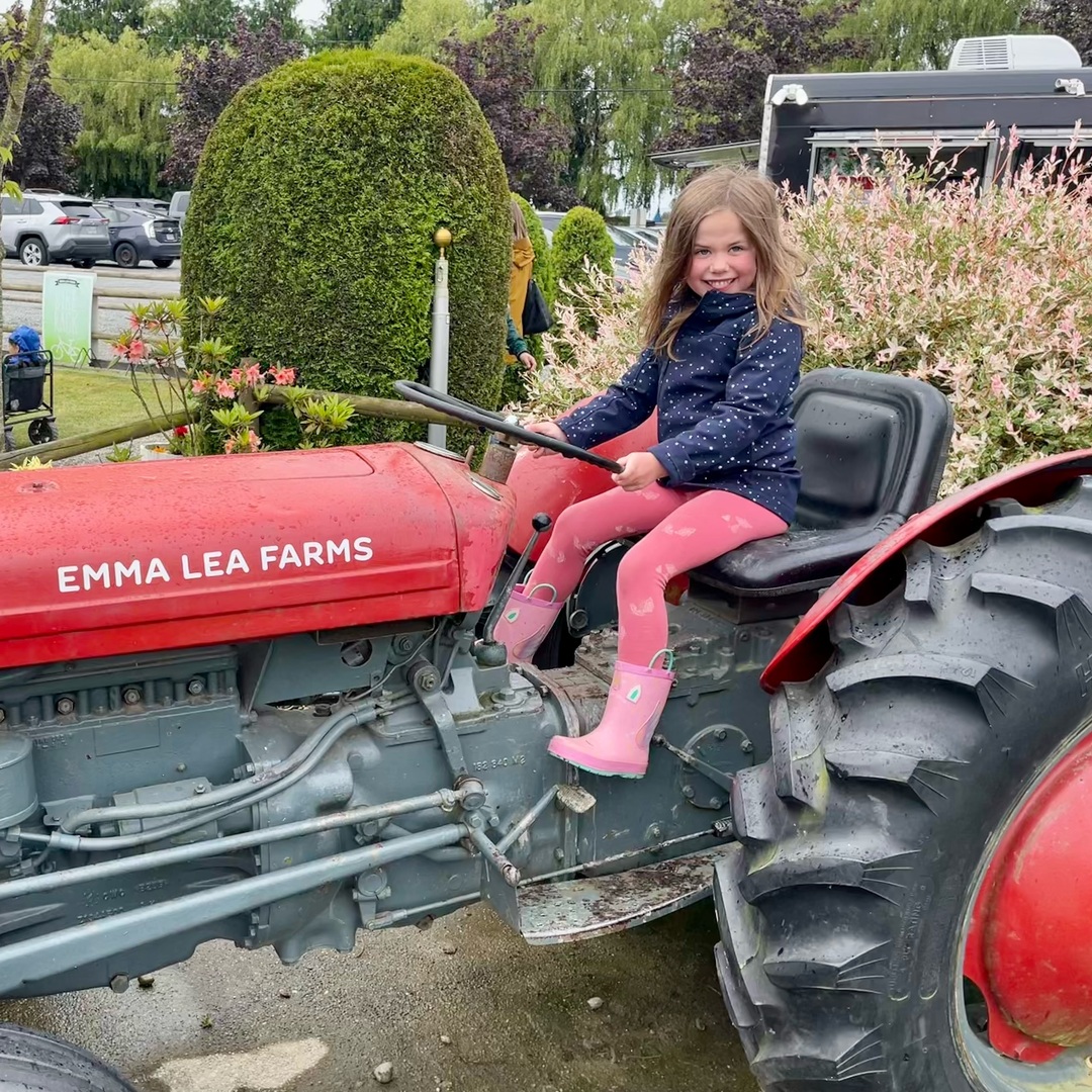 Chris Golden tweet media