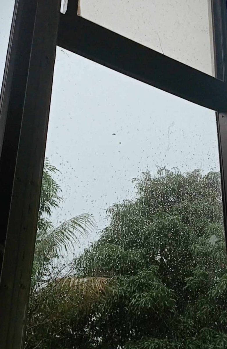 Alejandr0Nochez's tweet photo. En estos momentos de emergencia por las lluvias 🌧, quisiera poder apoyarlos con los recursos como lo he hecho antes, con gusto estaré pendiente en ayudar en la medida de las posibilidades y en trasladar la información donde corresponda, mantengamos la calma que la ayuda llegará. https://t.co/nnr9aeMkzd
