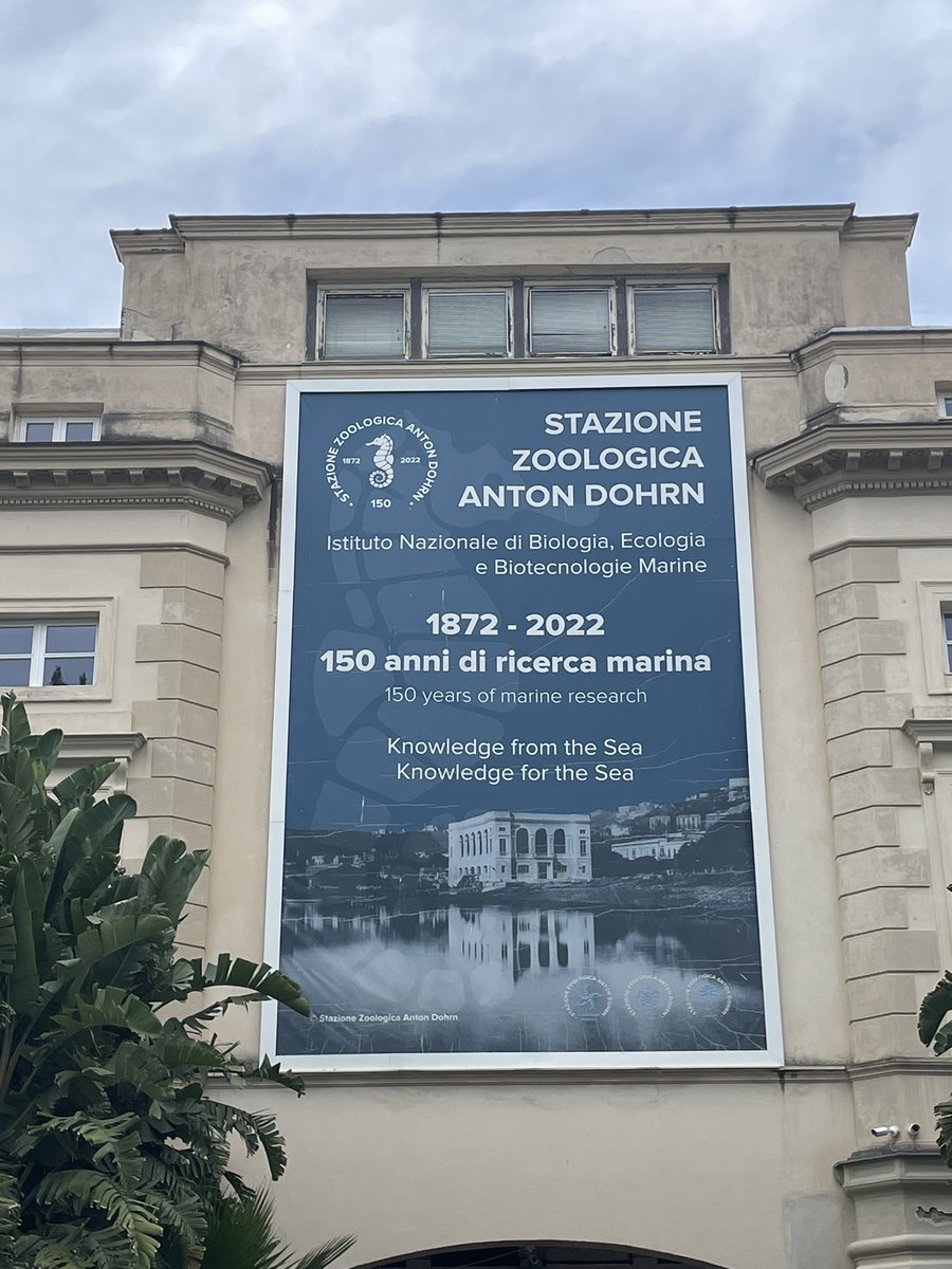 Mariana Lima tweet media