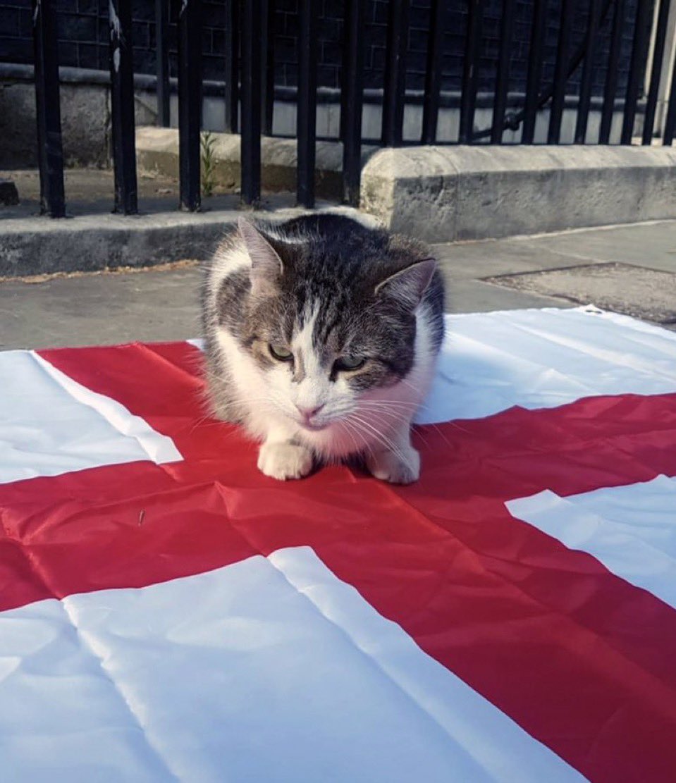 Number10cat's tweet photo. The England men's team has only won a trophy under a Labour government. The #euro2024 final is 10 days after the general election. If football's coming home, Sunak won't be... #SERENG https://t.co/ALU3PNl1QJ