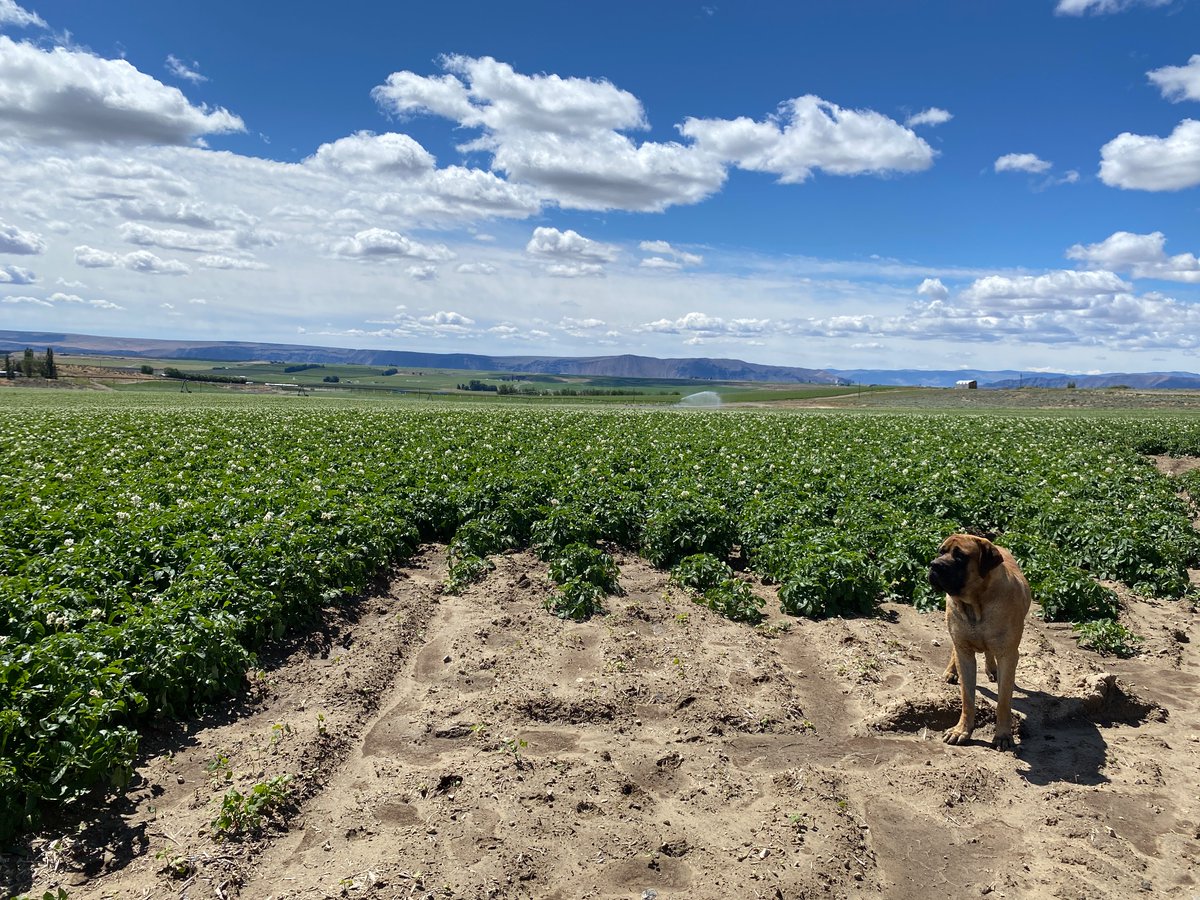 Steve (@stephen07125913) on Twitter photo 