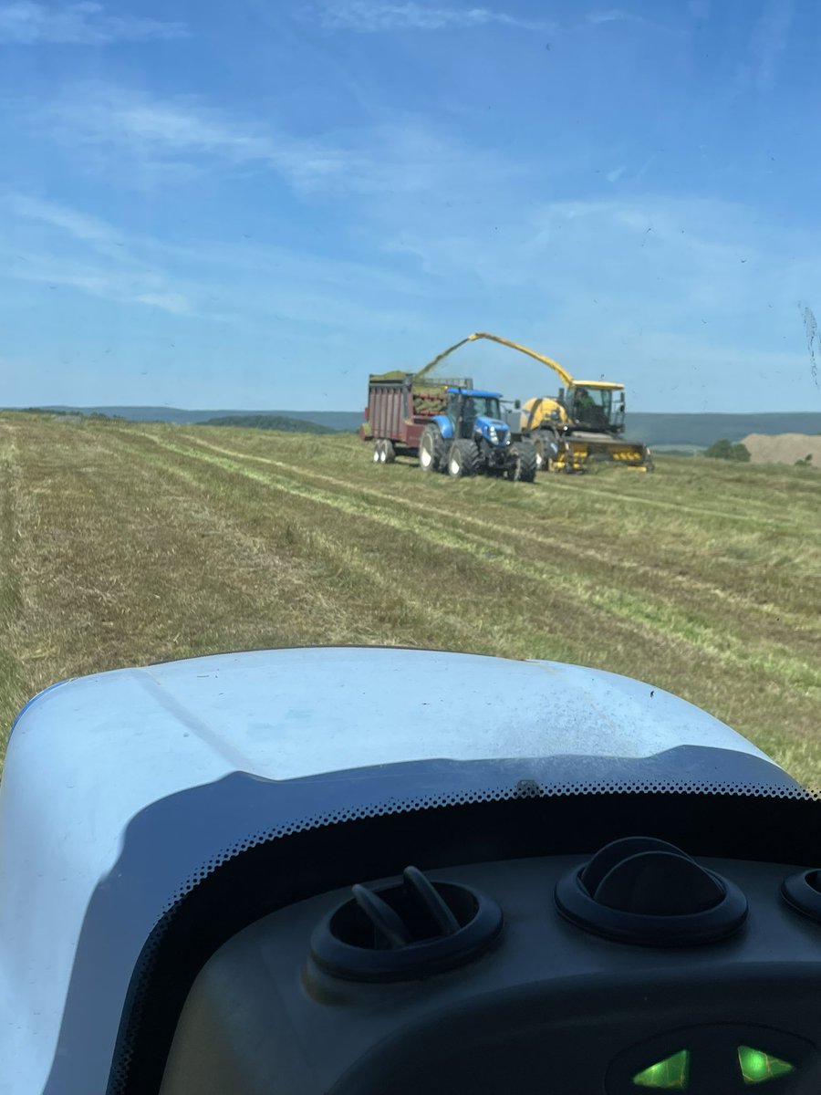 MiloYields's tweet image. 