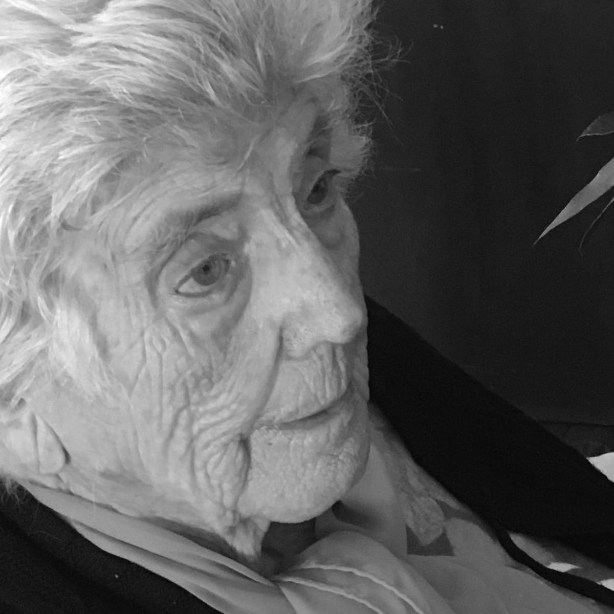 Aquesta tarda ha mort Roser Folch i Camarasa, a l'edat de 100 anys,  última filla de Josep M. Folch i Torres. El nostre sincer condol a la família i amics. DEP