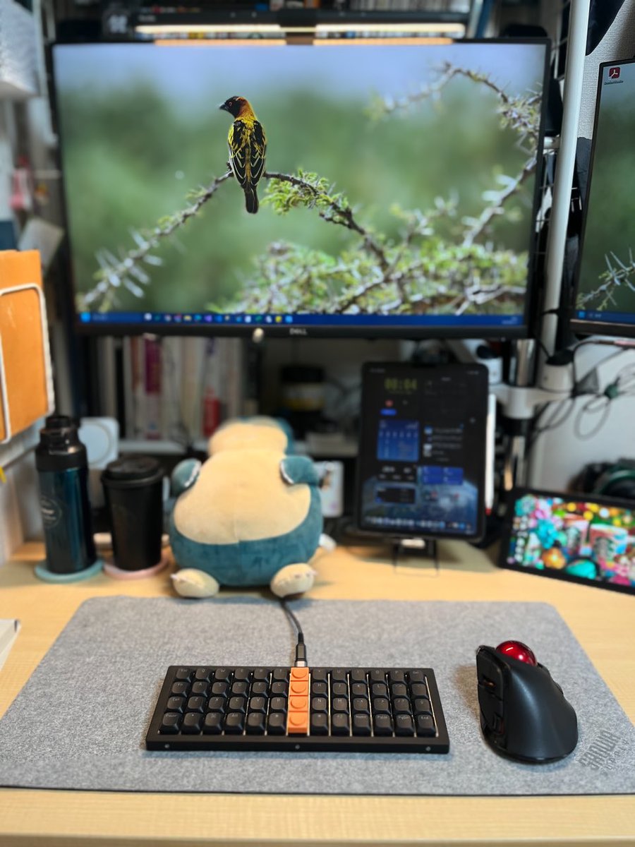 us_key51's tweet photo. 今日は #LALA50 とトラックボール🖲️
先週は色々バタバタしてたりボロボロだったのですが、今週は何とか立て直していきたいと思います〜。
しかし暑い。。💦
#自作キーボード #デスク周り #狭デスク https://t.co/VNWYHDEECj