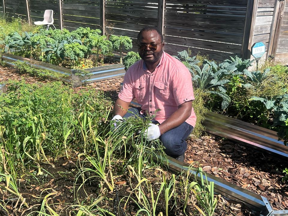 IDEAS For Us tweet media