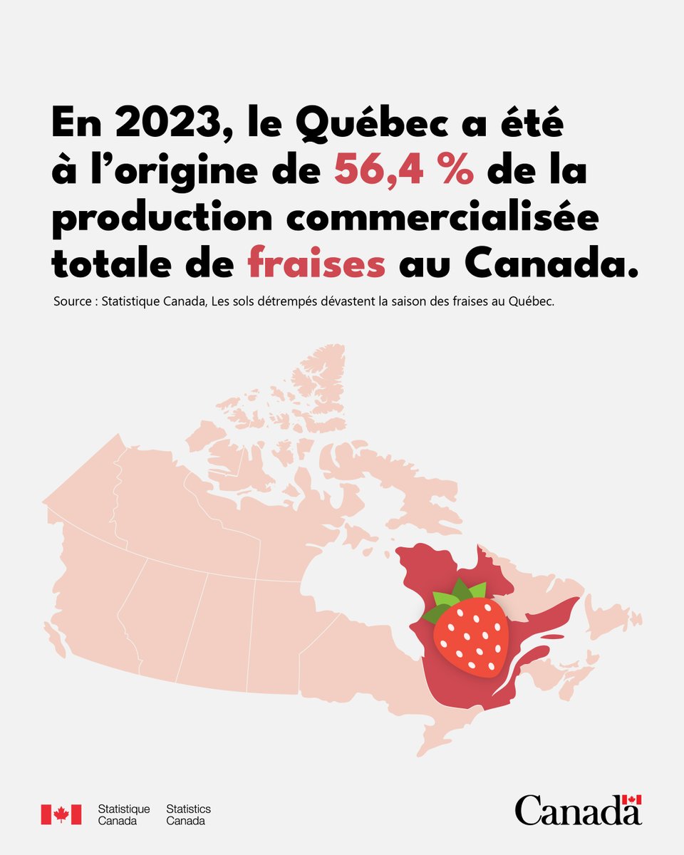 Que vous les dégustiez fraîches, dans un smoothie ou sur votre dessert préféré, les fraises sont un incontournable délice de l’été! 🍓 En 2023, le Québec a été à l’origine de 56,4 % de la production commercialisée totale de #fraises au Canada. 

statcan.gc.ca/o1/fr/plus/636…