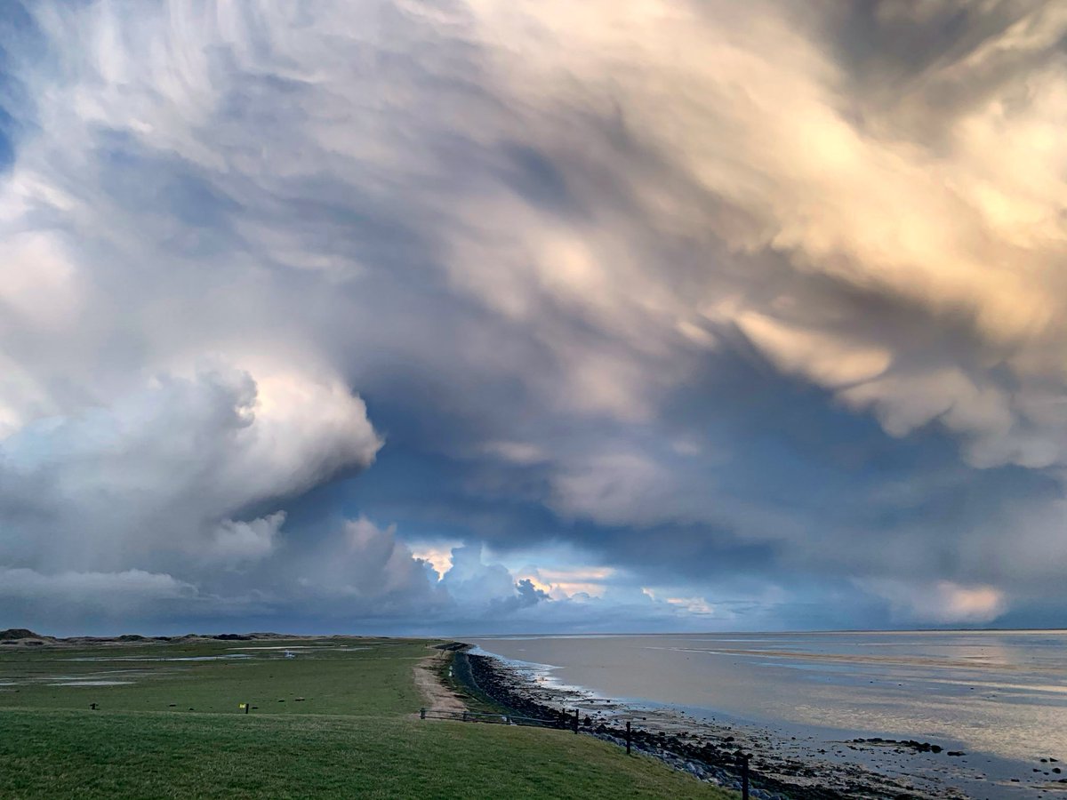 richardtkiewiet (@richardtkiewiet) on Twitter photo 