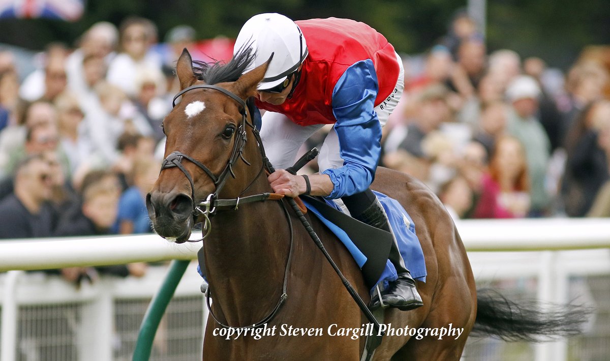 Steven Cargill (@steven_cargill) on Twitter photo Now 1-21, EJAABIYAH <a href="/the_doyler/">James Doyle</a> much the best in 10f 3yo fillies novice <a href="/salisburyraces/">Salisbury Racecourse</a> today for <a href="/JuddmonteFarms/">Juddmonte</a> Frankel <a href="/varianstable/">Roger Varian</a> Now 1-21, EJAABIYAH <a href="/the_doyler/">James Doyle</a> much the best in 10f 3yo fillies novice <a href="/salisburyraces/">Salisbury Racecourse</a> today for <a href="/JuddmonteFarms/">Juddmonte</a> Frankel <a href="/varianstable/">Roger Varian</a>