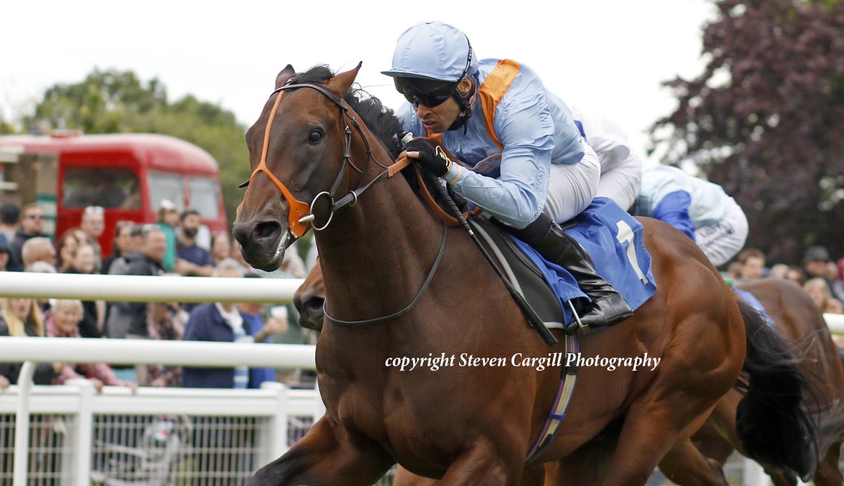 Steven_Cargill's tweet photo. Debut; colt AN OUTLAW'S GRACE (Dandy Man) @LeveySean wins 6f 2yo maiden @salisburyraces today for @rhannonracing https://t.co/pRDz1IAgdI