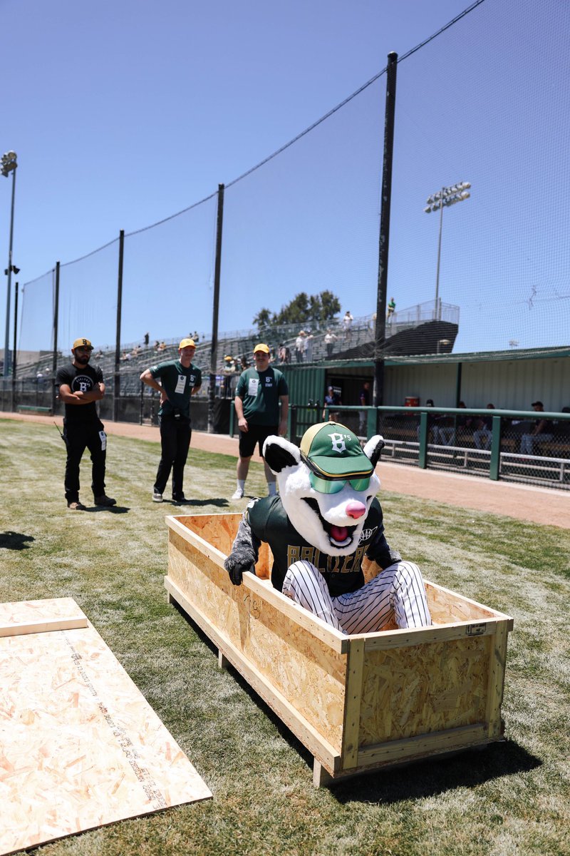 FOS's tweet photo. “The Oakland B’s” joined the Pioneer League this season after the A’s voted to relocate.

The B’s just unveiled their new mascot: Scrappy the Possum, inspired by the possum found in the A’s broadcast booth last season. https://t.co/mSLWdLnOTB