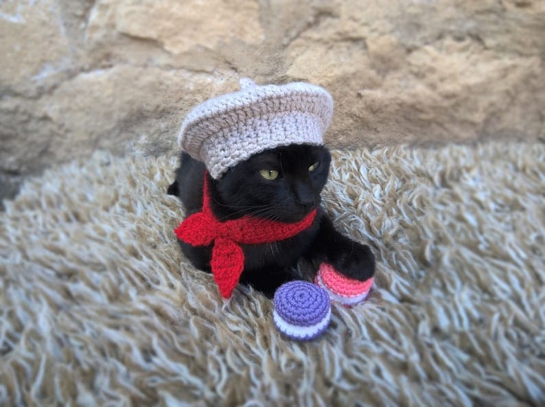 GreenSlipStitch's tweet photo. @ShouldHaveCat Hello from Cats in hats 🙂
https://t.co/rDfISKXua8 https://t.co/HA7EkAeftC