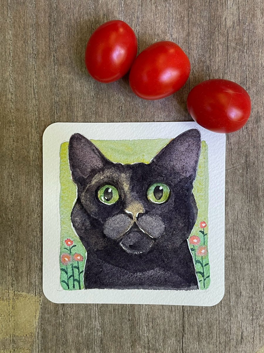 採れたてプチトマトと
描きたての黒猫さん

ホルベインのグラニュレーティングカラーで
てのひらペーパー(ランプライト)に描いてみた

#水彩イラスト 
#透明水彩
#水彩画