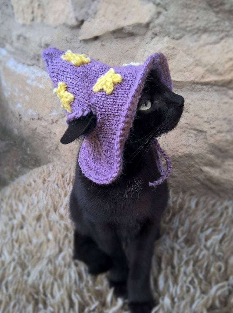 GreenSlipStitch's tweet photo. @ShouldHaveCat Hello from Cats in hats 🙂
https://t.co/rDfISKXua8 https://t.co/HA7EkAeftC