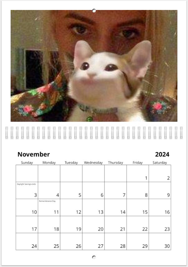 CryptosCalendar's tweet photo. Looks like everything is going along well 
A little sneak peak into one of the months
$Popcat
$Solana https://t.co/VwoPwZeZHi
