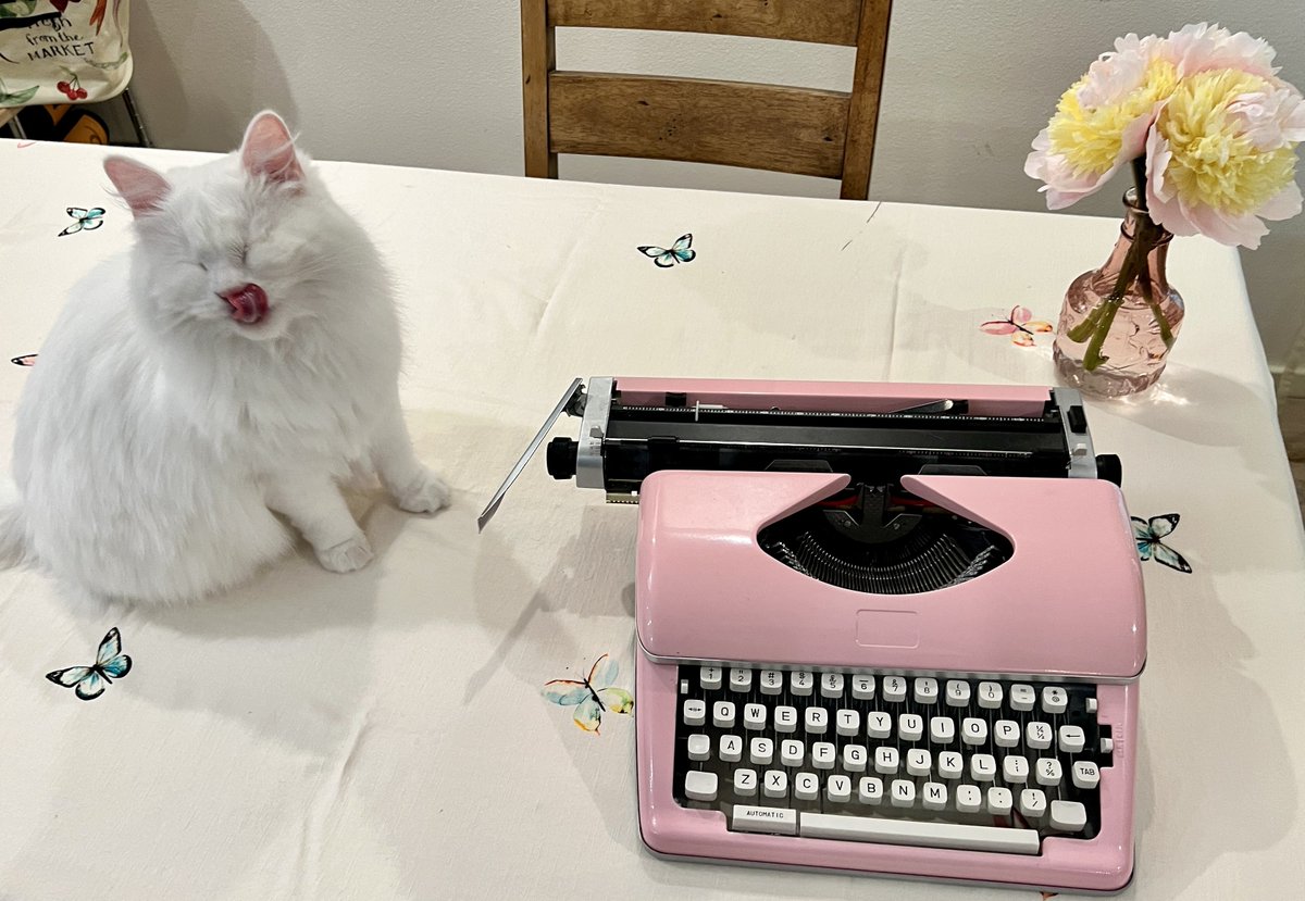 LiteraryKittens's tweet photo. Typewriters and cats, for your feed, if it's in need. Thanks to kittens Sylvia and Charlotte for their cooperation. #typewritersandcats #pinktypewriters #literarykittens https://t.co/OJ7ozLGb9A