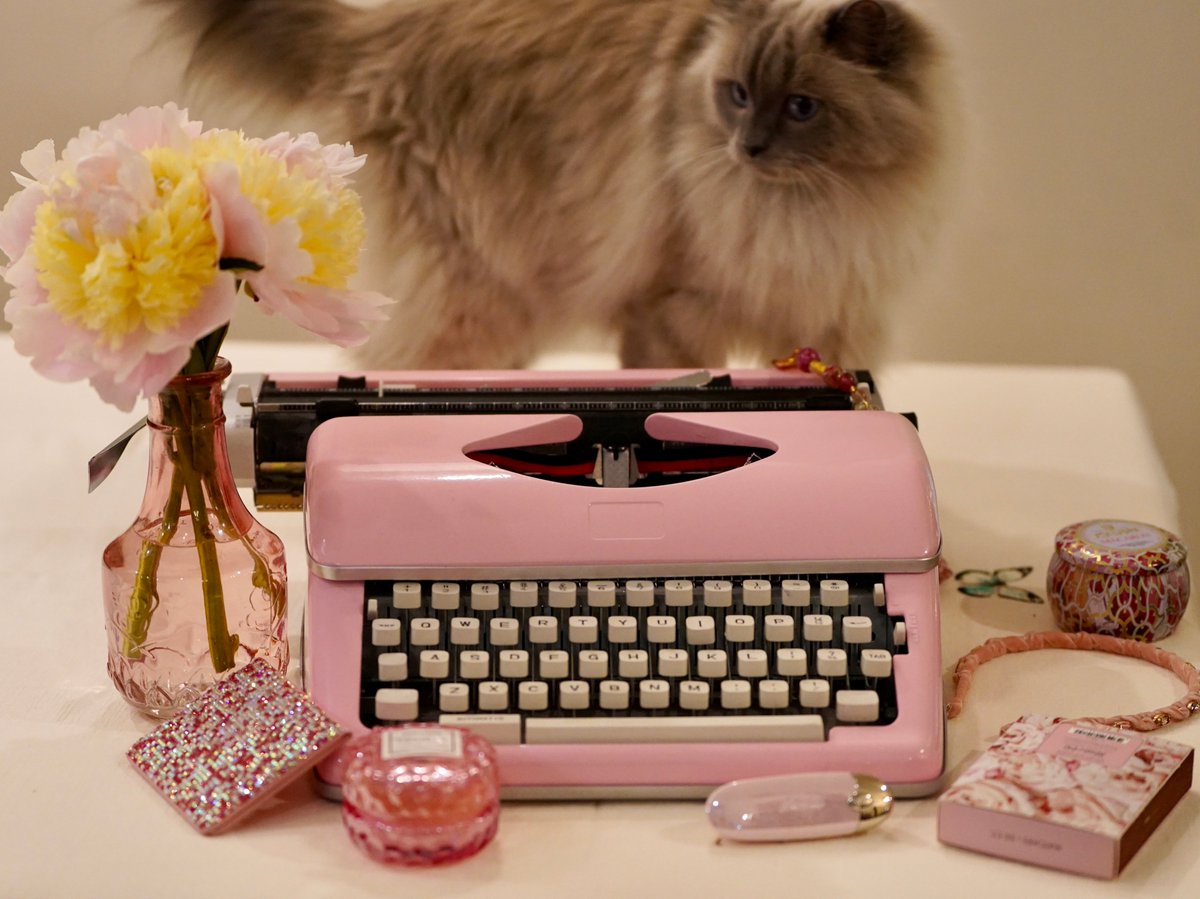 LiteraryKittens's tweet photo. Typewriters and cats, for your feed, if it's in need. Thanks to kittens Sylvia and Charlotte for their cooperation. #typewritersandcats #pinktypewriters #literarykittens https://t.co/OJ7ozLGb9A
