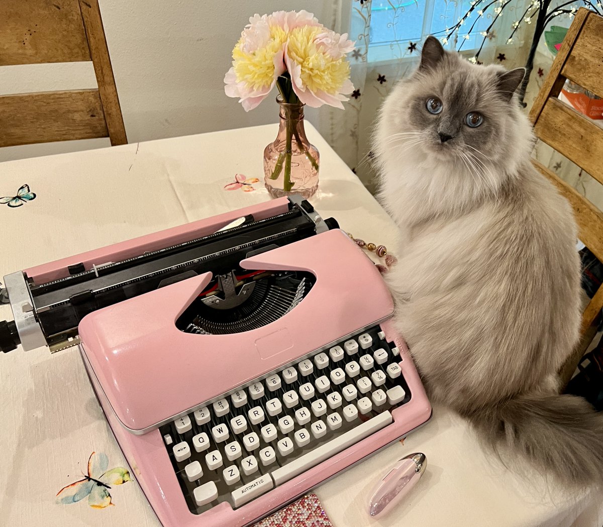 LiteraryKittens's tweet photo. Typewriters and cats, for your feed, if it's in need. Thanks to kittens Sylvia and Charlotte for their cooperation. #typewritersandcats #pinktypewriters #literarykittens https://t.co/OJ7ozLGb9A