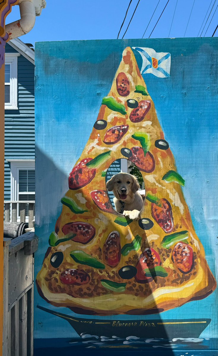 Promised some pizza if she posed nicely 😂 🍕