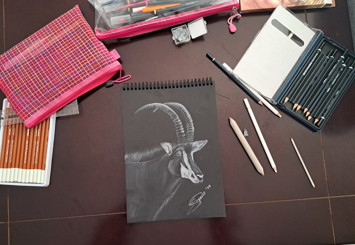 Simi7Q's tweet image. Been doing a lot of offline activities and focusing on myself and my career.

I drew a Sable. It's my absolute favourite animal. It was my first time drawing with white on black. It's like shading in reverse. So fun.