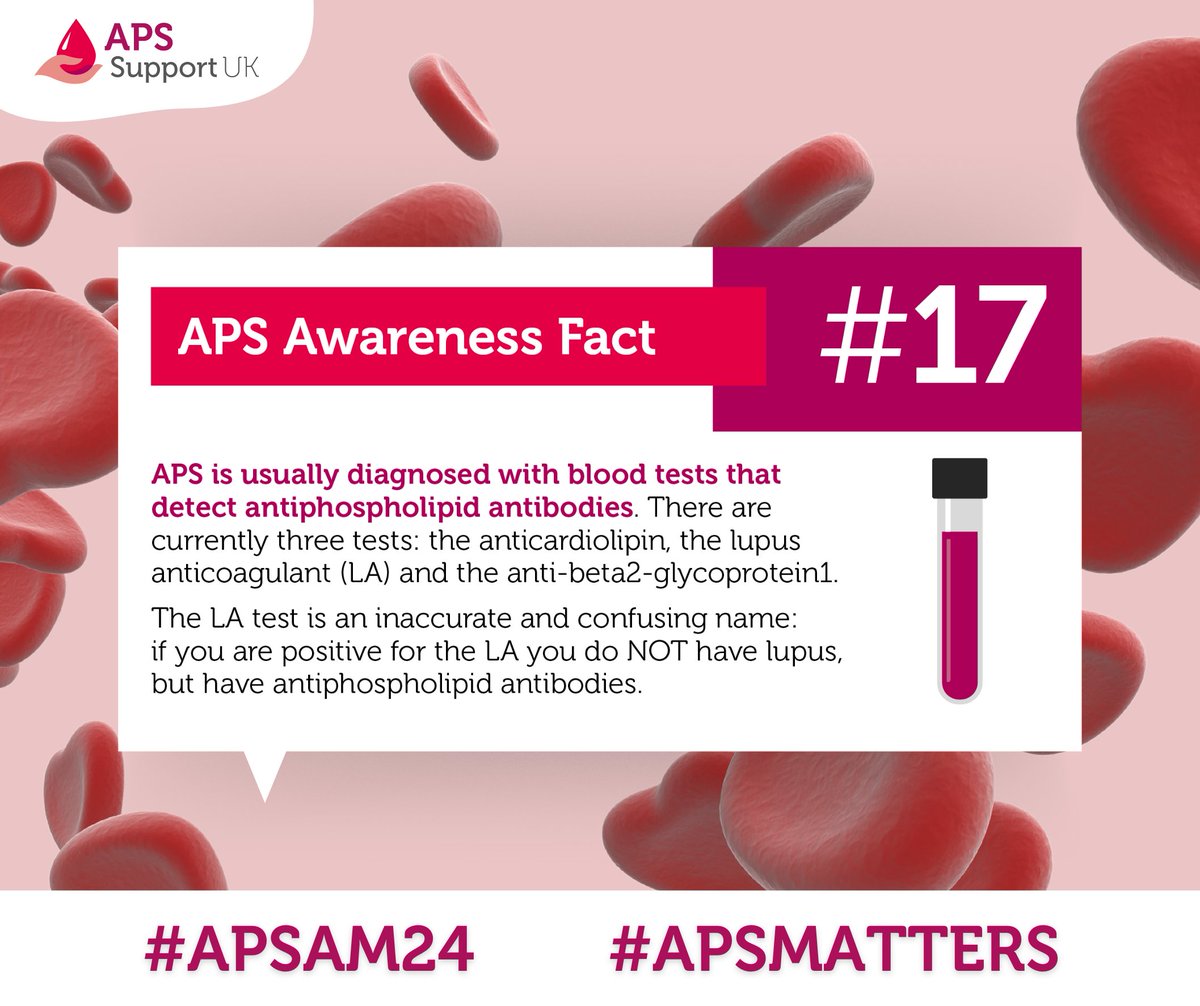 #APS is diagnosed with blood tests that detect #antiphospholipid antibodies(aPL). The lupus anticoagulant (LA) test is a confusing name: if you are + for the LA, you do NOT have #lupus but have aPL.

Find out more: cutt.ly/blood-tests

#APSMatters #APSAM24 #APSAwarenessMonth