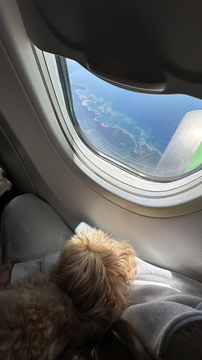 Heading to #CollisionConf ✈️

Can’t wait to meet all the incredible people and present <a href="/milestoneflow/">Milestone</a> - see u there!