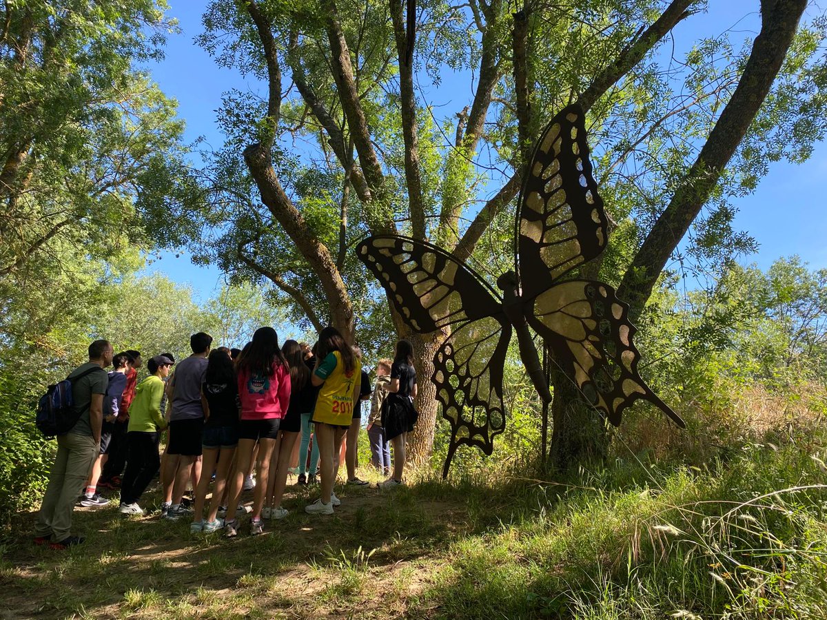 IESMHzamora's tweet image. Los alumn@s del #programabilíngue de 1ESO aprendieron de la naturaleza incomparable de @TormesEB en Almenara de Tormes en una jornada de #inmersiónlingüística irrepetible. Gran despedida de curso poniendo en práctica todo lo aprendido en #biologia 
#PIEEscuelasSaludables