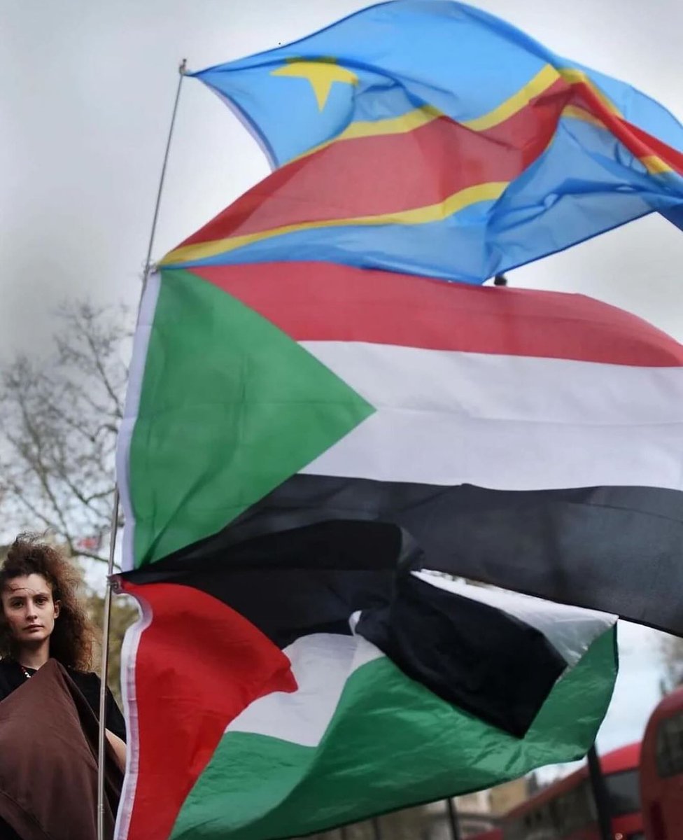 free congo!
free sudan!
free palestine!