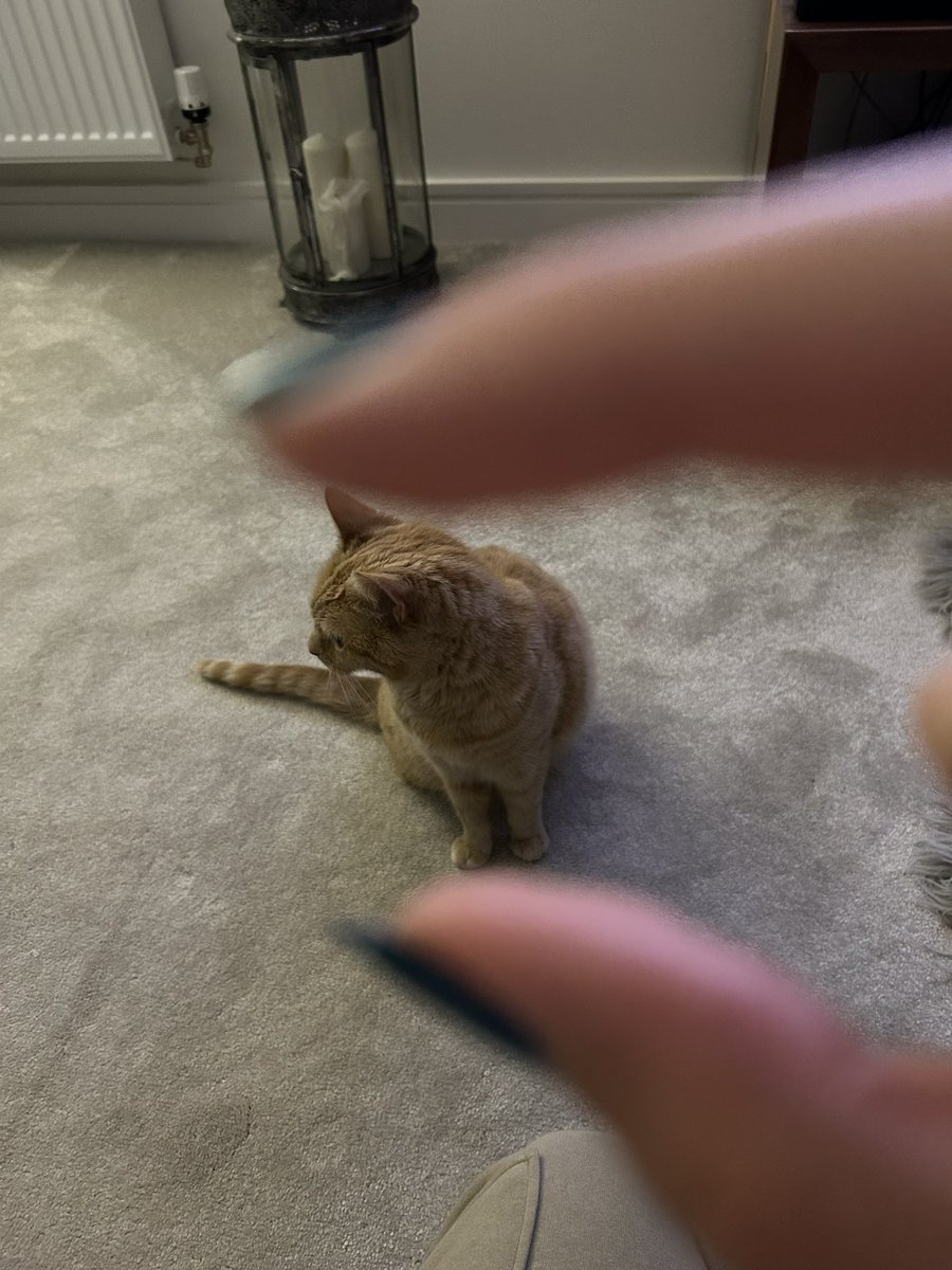 she is this 🤏 big