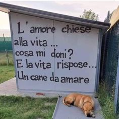 annamariamoscar's tweet photo. 🐾❤🐾 https://t.co/6IgNQPXJk8