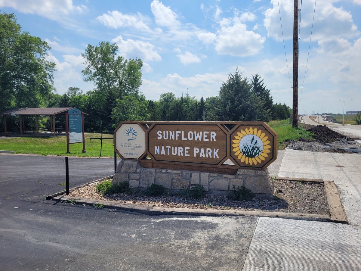 DocTheMedicIsABuccaneersFan tweet media