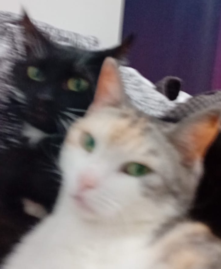 My first time doing #frostingtwtselfieday :D
Had to blur the background cause there was photos of my family and stuff but it’s better than nothing I guess