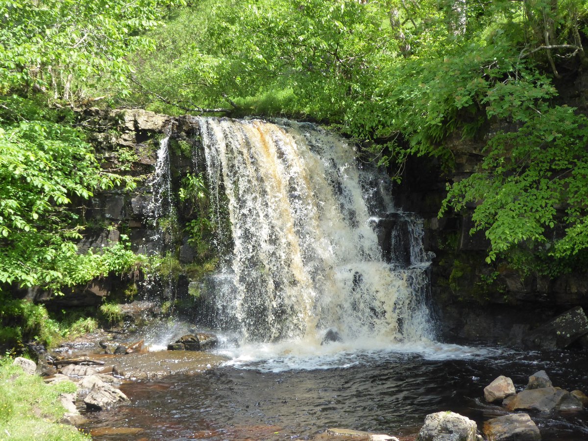 East Gill Force, Keld on a lovely day in Swaledale today with <a href="/DalesBus/">DalesBus</a> <a href="/arrivanortheast/">Arriva North East</a> 830 Ribblehead-Richmond service connecting with <a href="/northernassist/">NORTHERN 🚆</a> Leeds-Settle-Carlisle train.