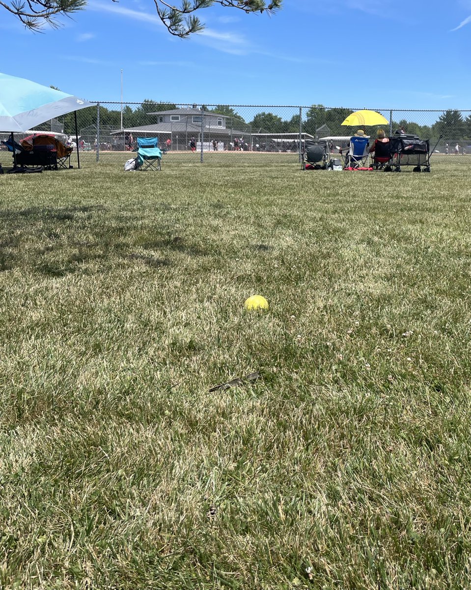 Joy Fogan - 2028 tweet media