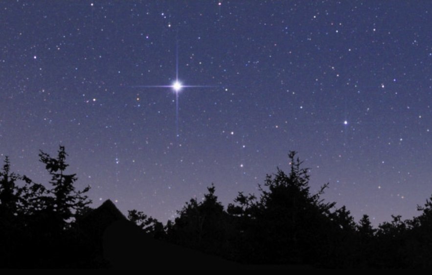 Bit  of a weekend this year, never good when it doubles up. Miss you more than ever right now. Keep shining bright 🥰🤗🥰🤗