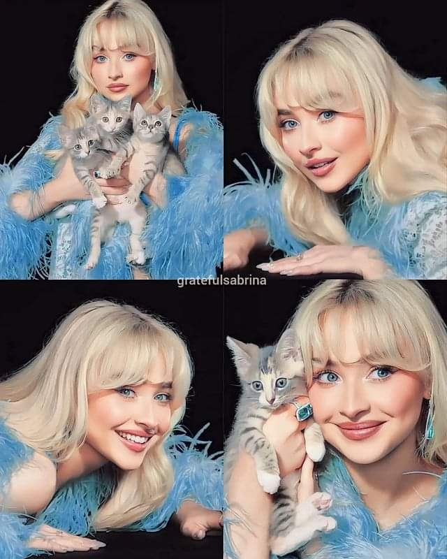 QueenHay04's tweet photo. Gatitos 😍💞 https://t.co/T6s5lic1EA