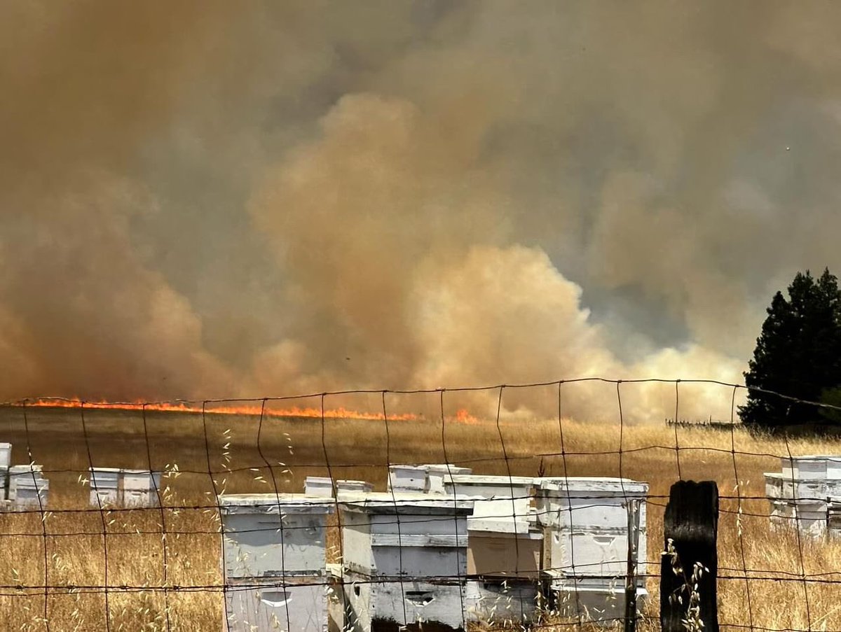 916times's tweet photo. Firefighters are battling a large blaze on Jackson and Excelsior Roads. #jacksonfire #sacramento 🔥 🐝 🚁 💦 https://t.co/OIUudEvxYQ