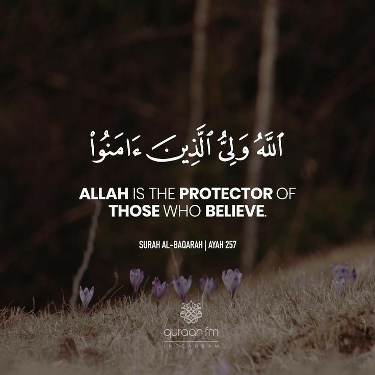 reposts, it will help you🤍🕊️