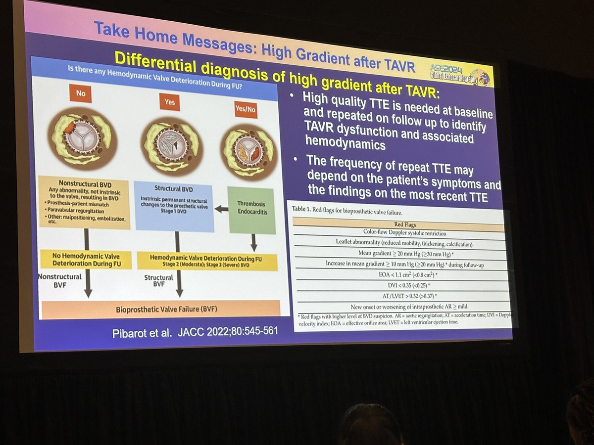 Maxine Tang tweet media